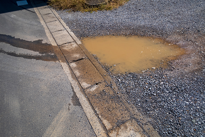 庭の水はけが悪いとどうなる？