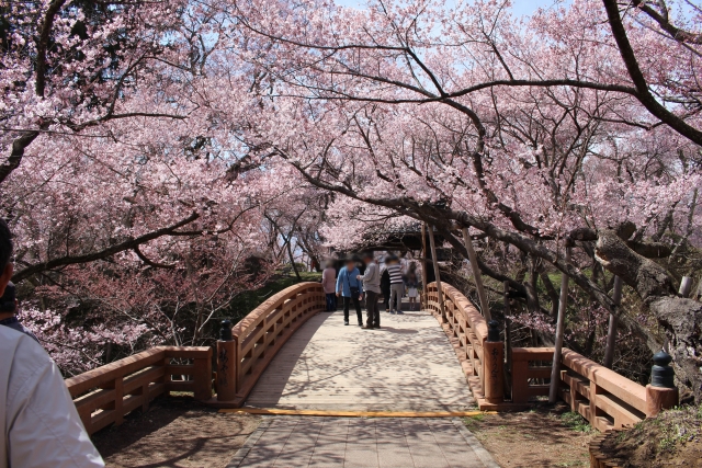 高遠城址公園