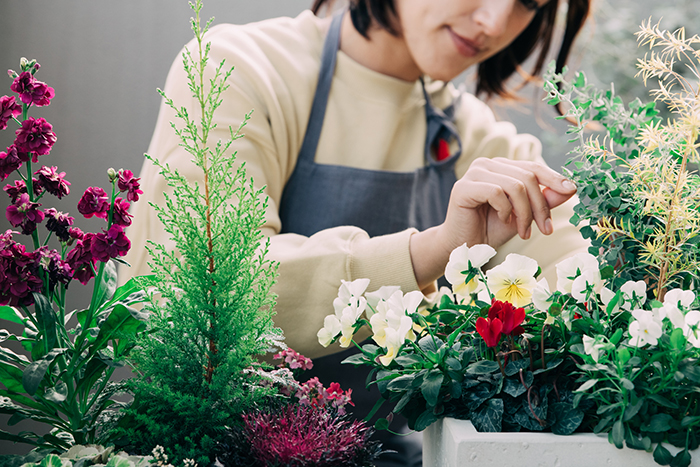 狭い庭でのガーデニングに適する草花