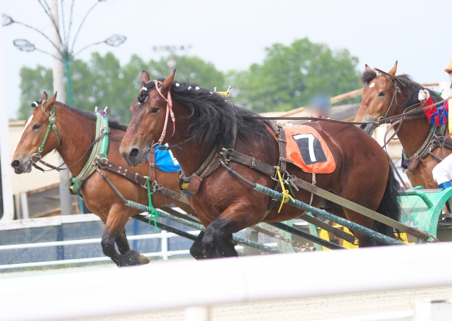 ばんえい競馬
